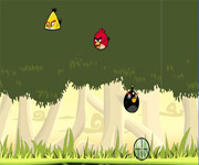Birds Hunter