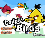 Couple birds