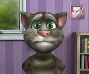 Online igrica Talking Tom Cat 2