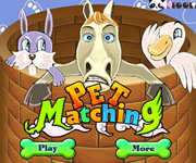 Pet Matching