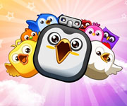 Acool Birds Vanished